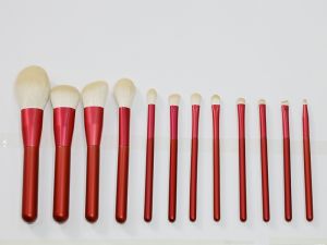 Cosmetic Set Brush