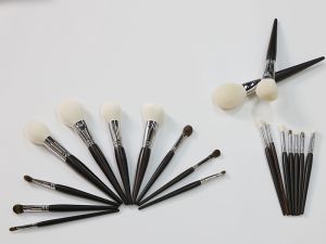 Cosmetic Set Brush